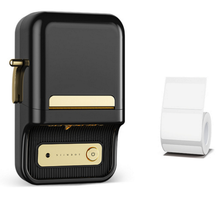 Load image into Gallery viewer, Niimbot B21 Original Portable Label Printer